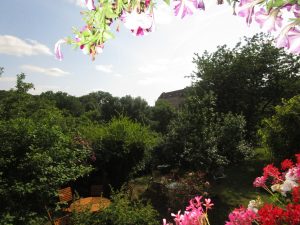 IMG_0856