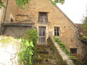 IMG_0781