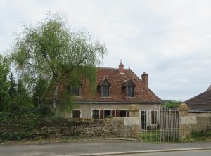 IMG_1206