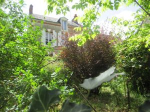 IMG_1846 (Petit)