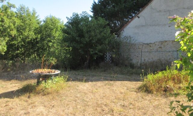 IMG_2369 (Petit)