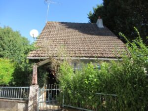 IMG_2381 (Petit)