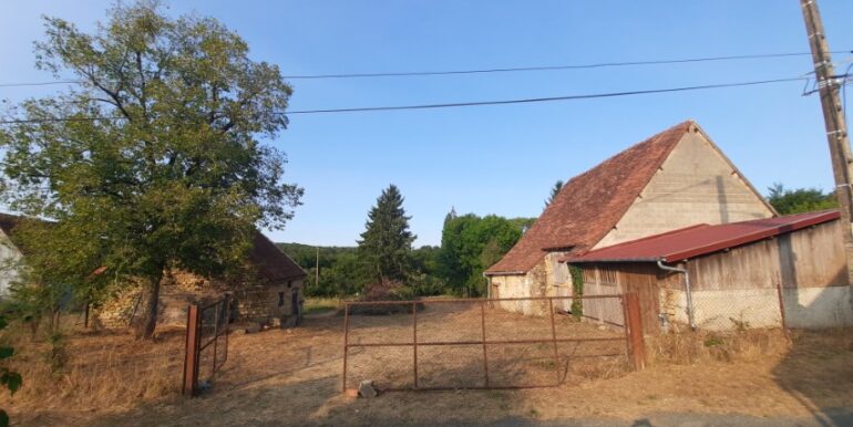 20250817_185156_001 (Petit)