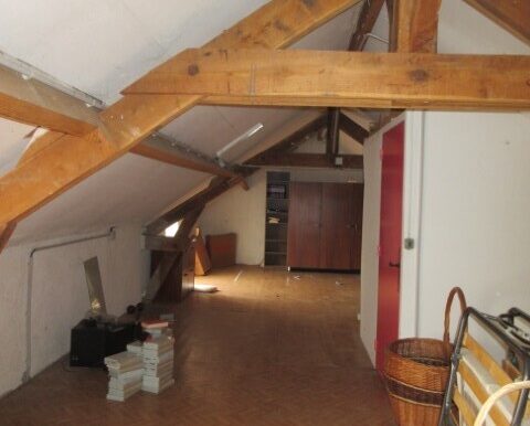IMG_2750 (Petit)